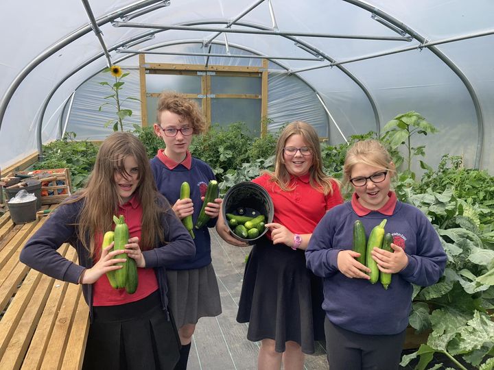 Children at St Newlyn East Learning Academy showing off their vegetables grown in school
